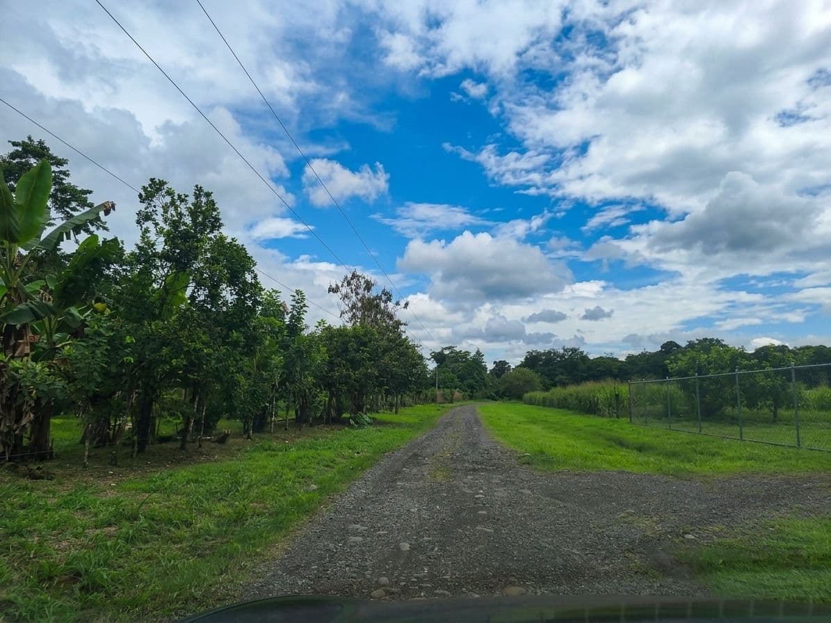 Strategic 5000m2 Lot and High-Yield Opportunity 5 minutes from La Fortuna, photo 15