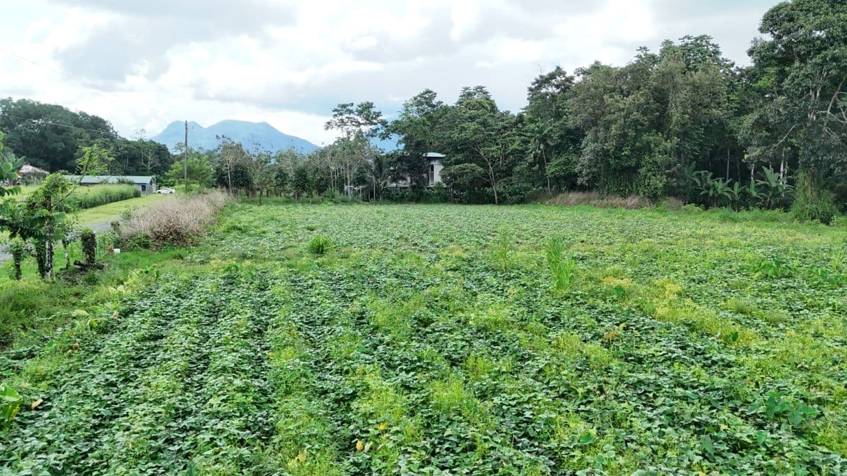 Strategic 5000m2 Lot and High-Yield Opportunity 5 minutes from La Fortuna, photo 7