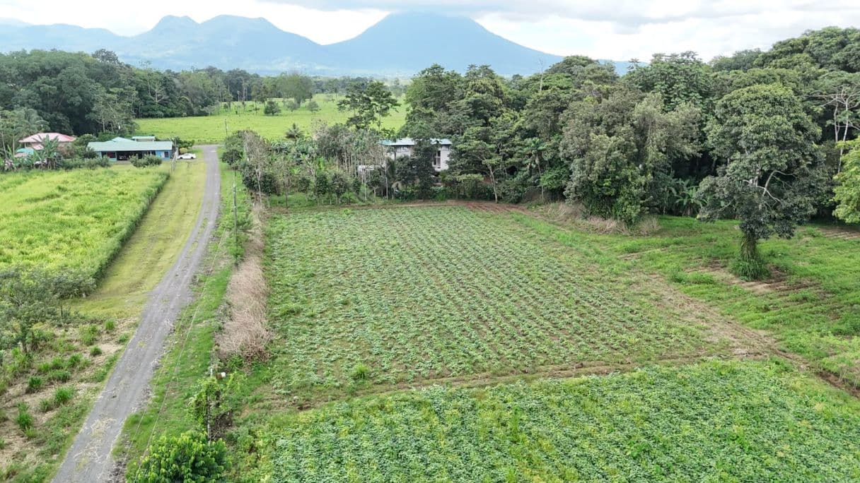 Strategic 5000m2 Lot and High-Yield Opportunity 5 minutes from La Fortuna, photo 9
