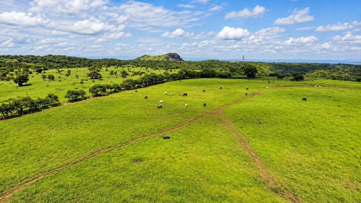 Los Ángeles Grand Estate | 282 Acres of Natural Beauty, Water Resources & Exceptional Investment Potential