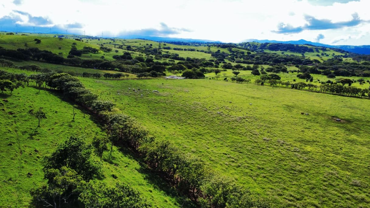 Los Ángeles Grand Estate | 282 Acres of Natural Beauty, Water Resources & Exceptional Investment Potential, photo 11