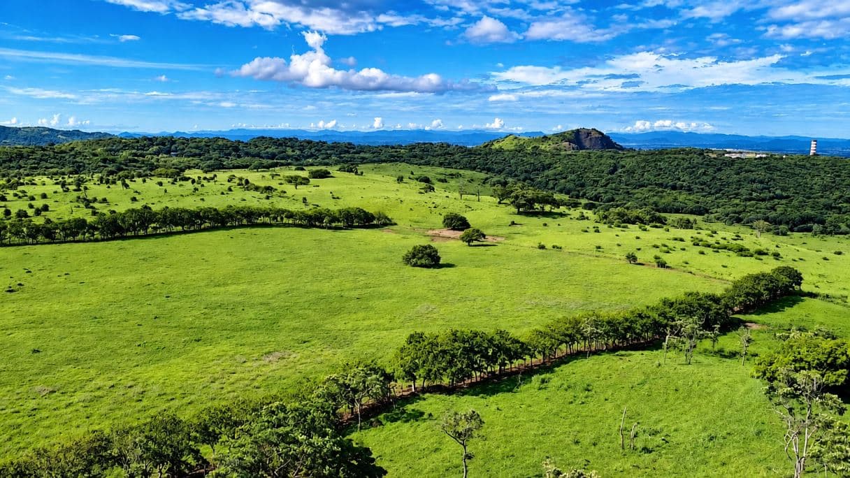Los Ángeles Grand Estate | 282 Acres of Natural Beauty, Water Resources & Exceptional Investment Potential, photo 3
