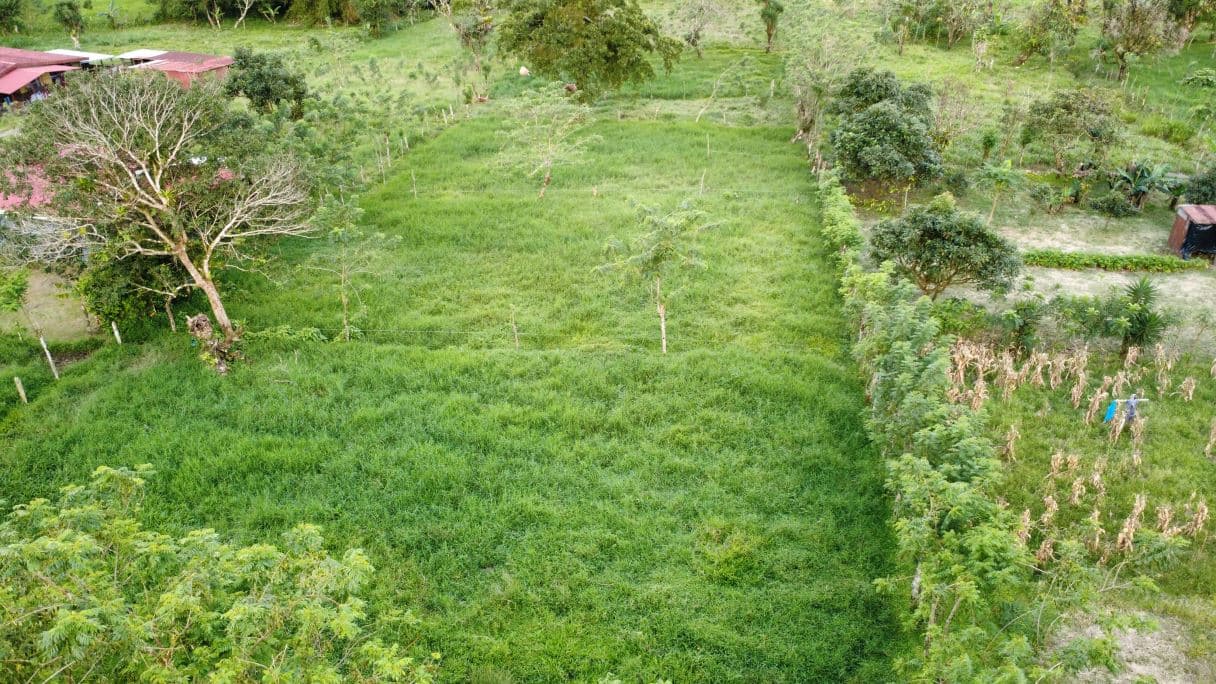 El Silencio Green Haven | 0.69 Acres of Peaceful Countryside Near Lake Arenal, photo 4