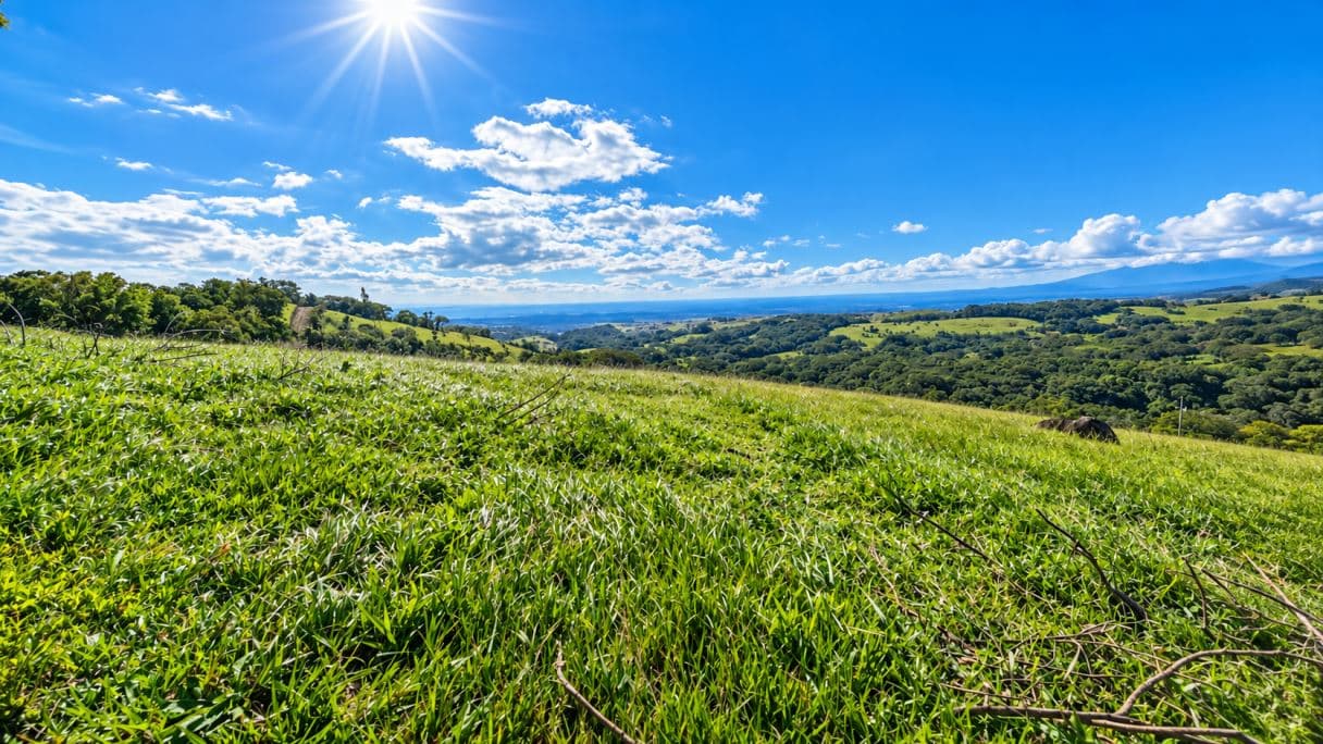 Bosques de Tilawa – Phase Two | Exclusive Homesites with Panoramic Views in the Mountains of Guanacaste, photo 12