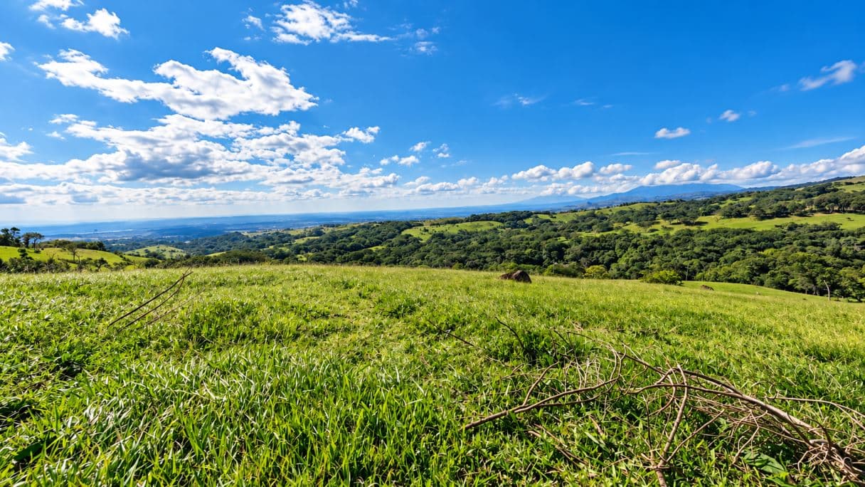 Bosques de Tilawa – Phase Two | Exclusive Homesites with Panoramic Views in the Mountains of Guanacaste, photo 13