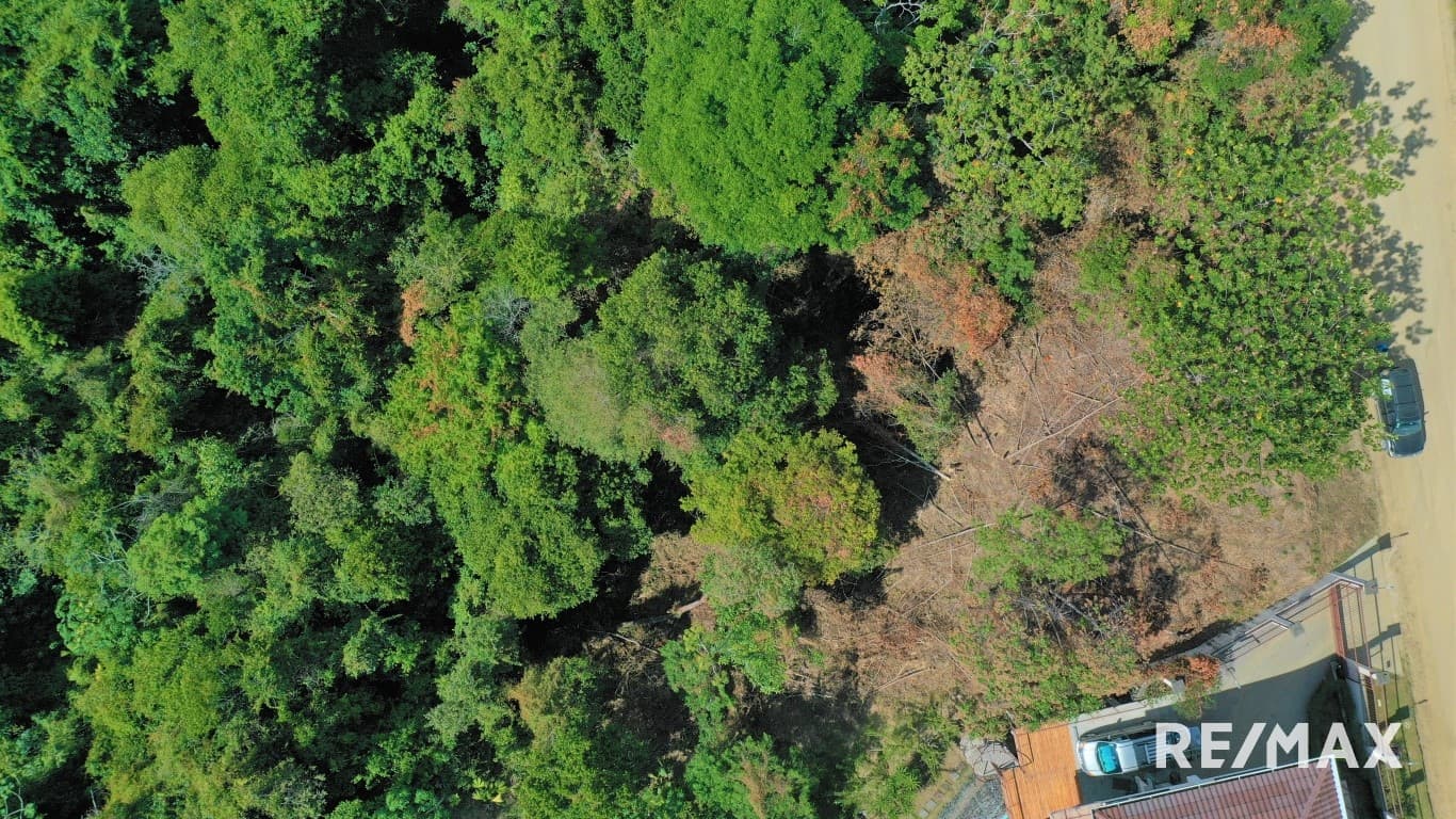 OceanView Building Lot / Hermosa, photo 2