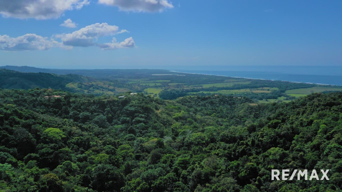 OceanView Building Lot / Hermosa, photo 8