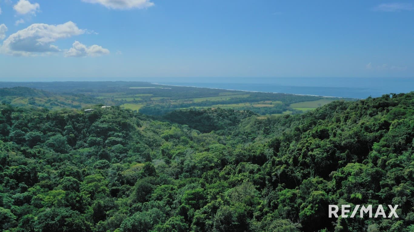 OceanView Building Lot / Hermosa, photo 3