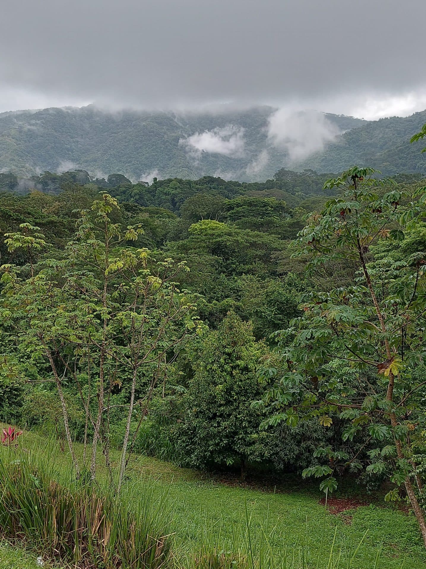 Large mountain and valley view lot, photo 5