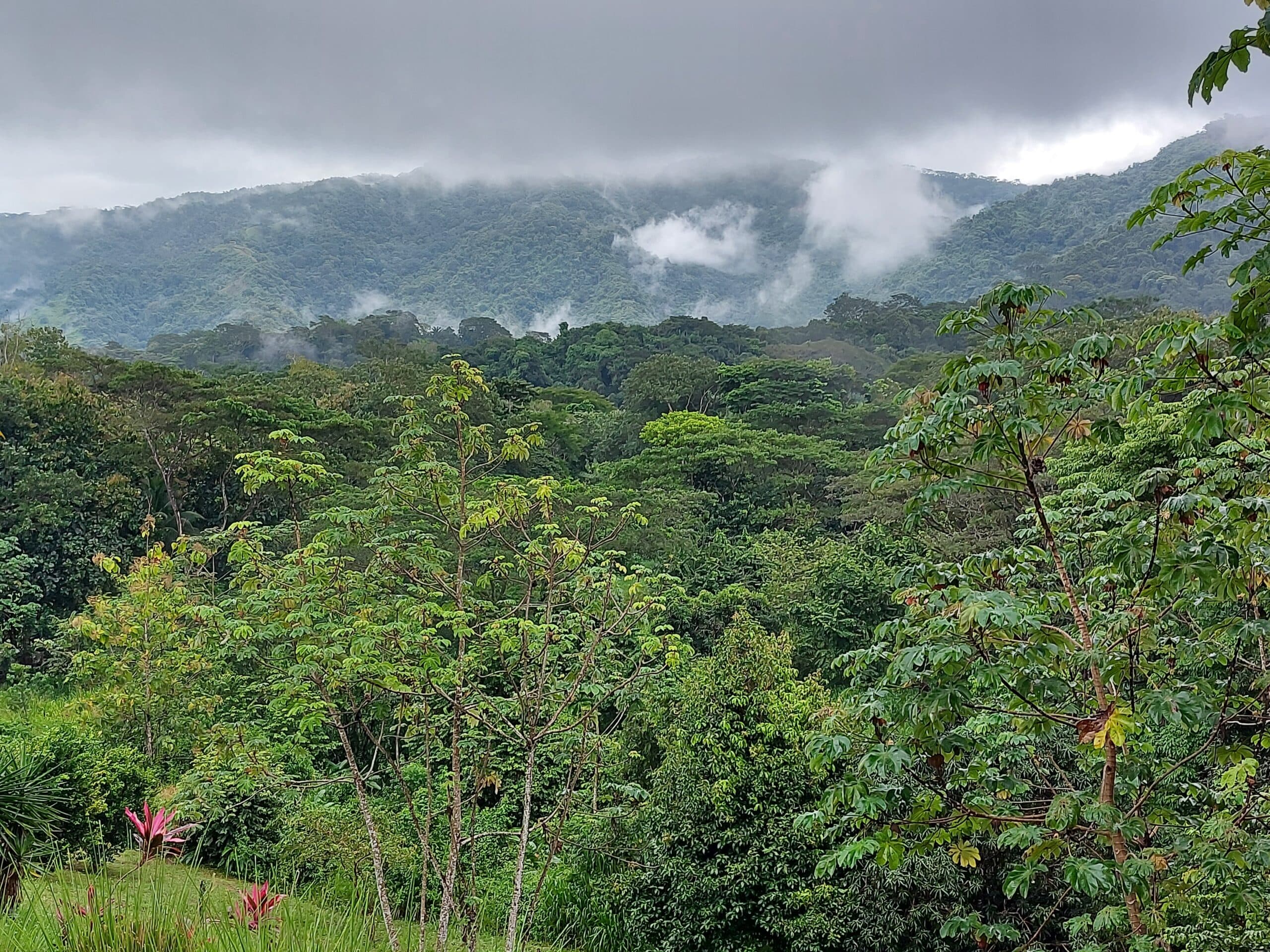 Large mountain and valley view lot, photo 6