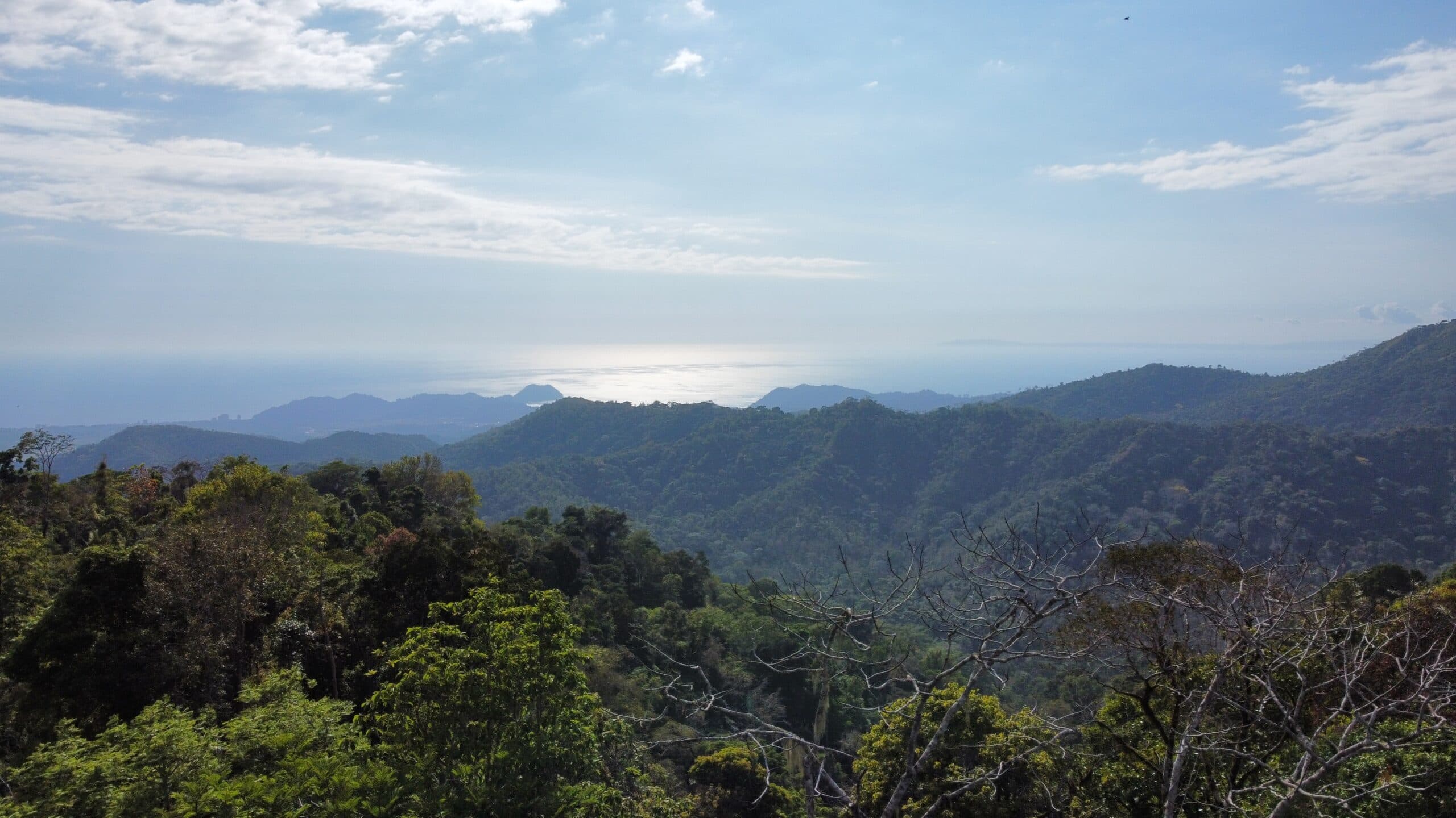 Ocean view teak farm with river & waterfalls, photo 18