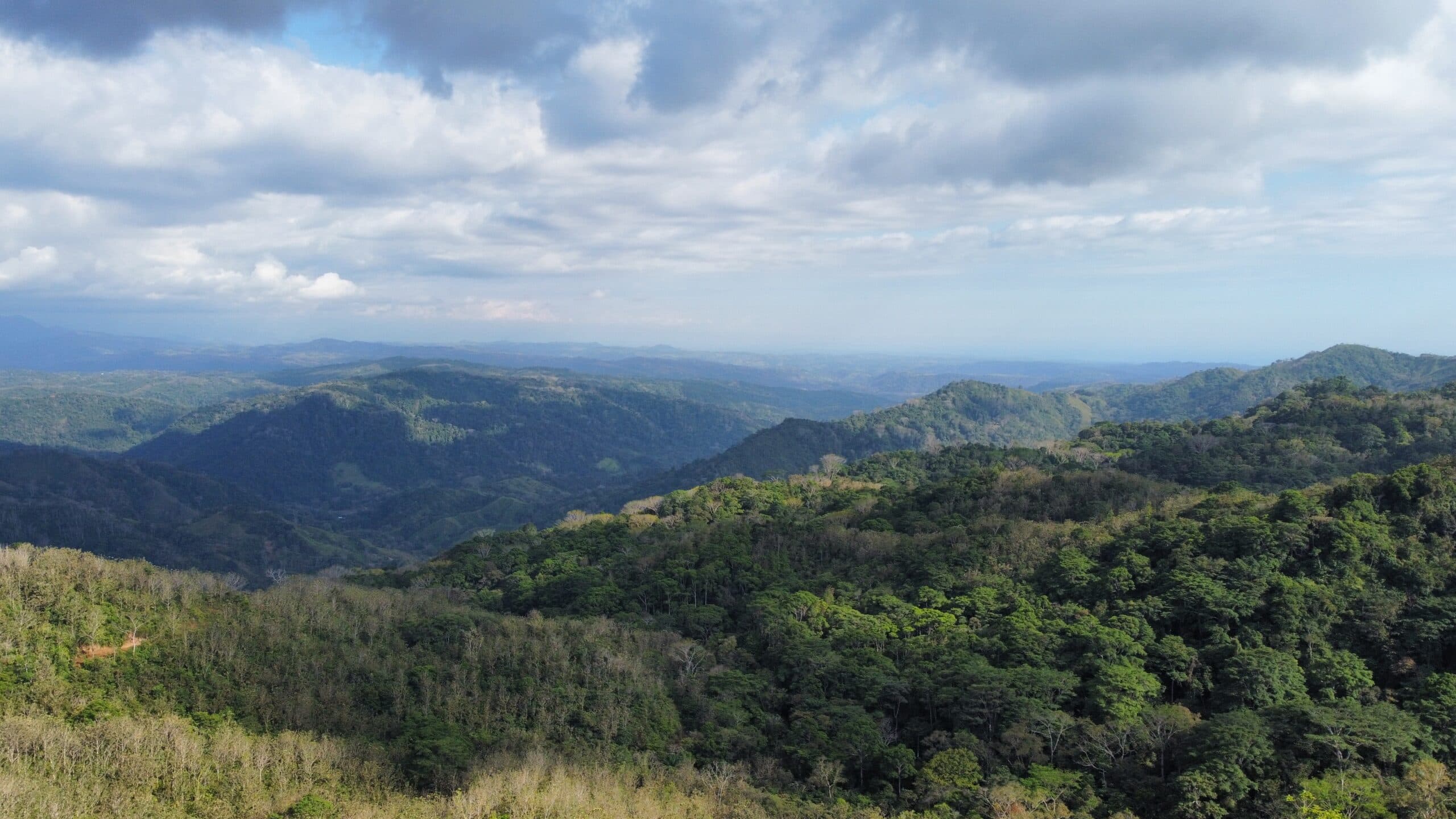 Ocean view teak farm with river & waterfalls, photo 6
