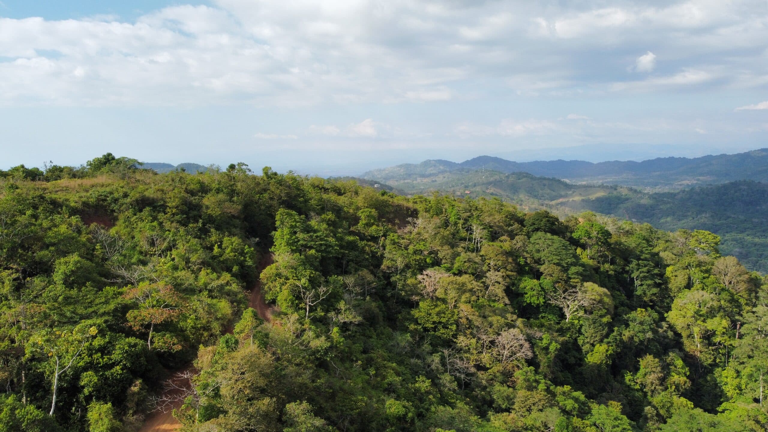 Ocean view teak farm with river & waterfalls, photo 5