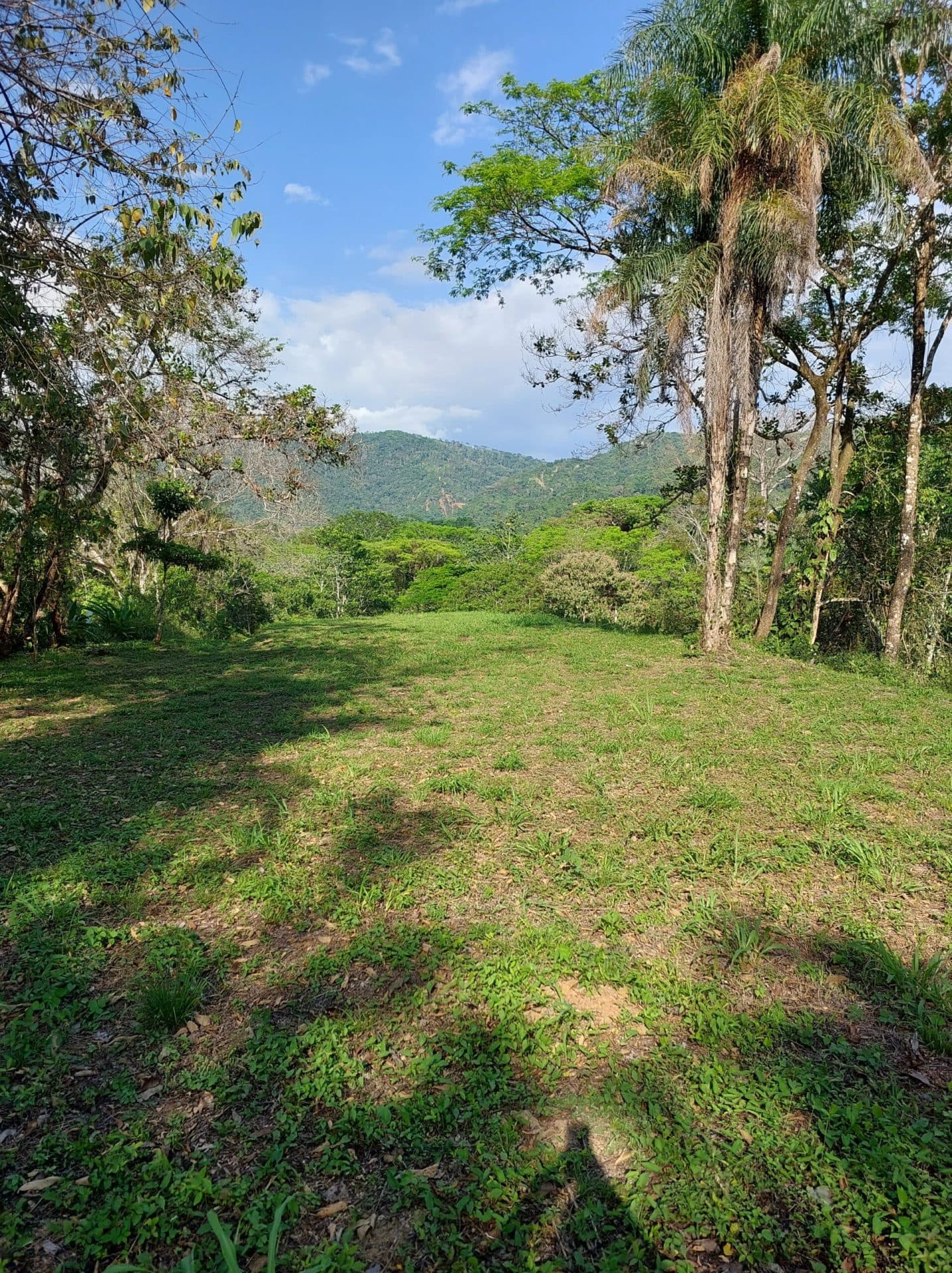 Large mountain and valley view lot, photo 14