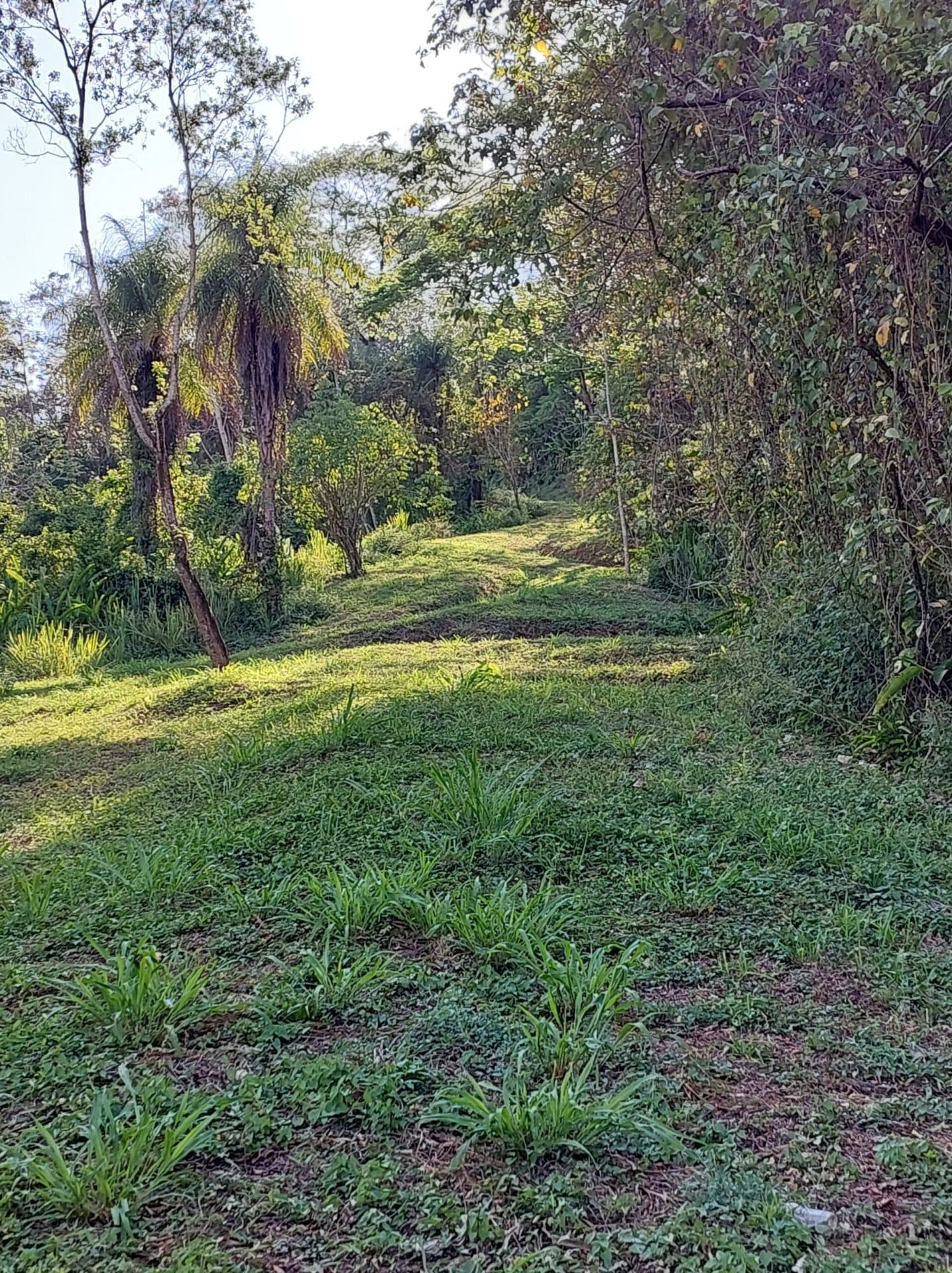 Large mountain and valley view lot, photo 16