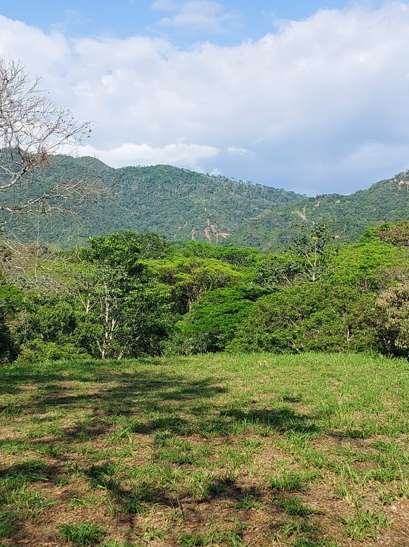 Large mountain and valley view lot, photo 13