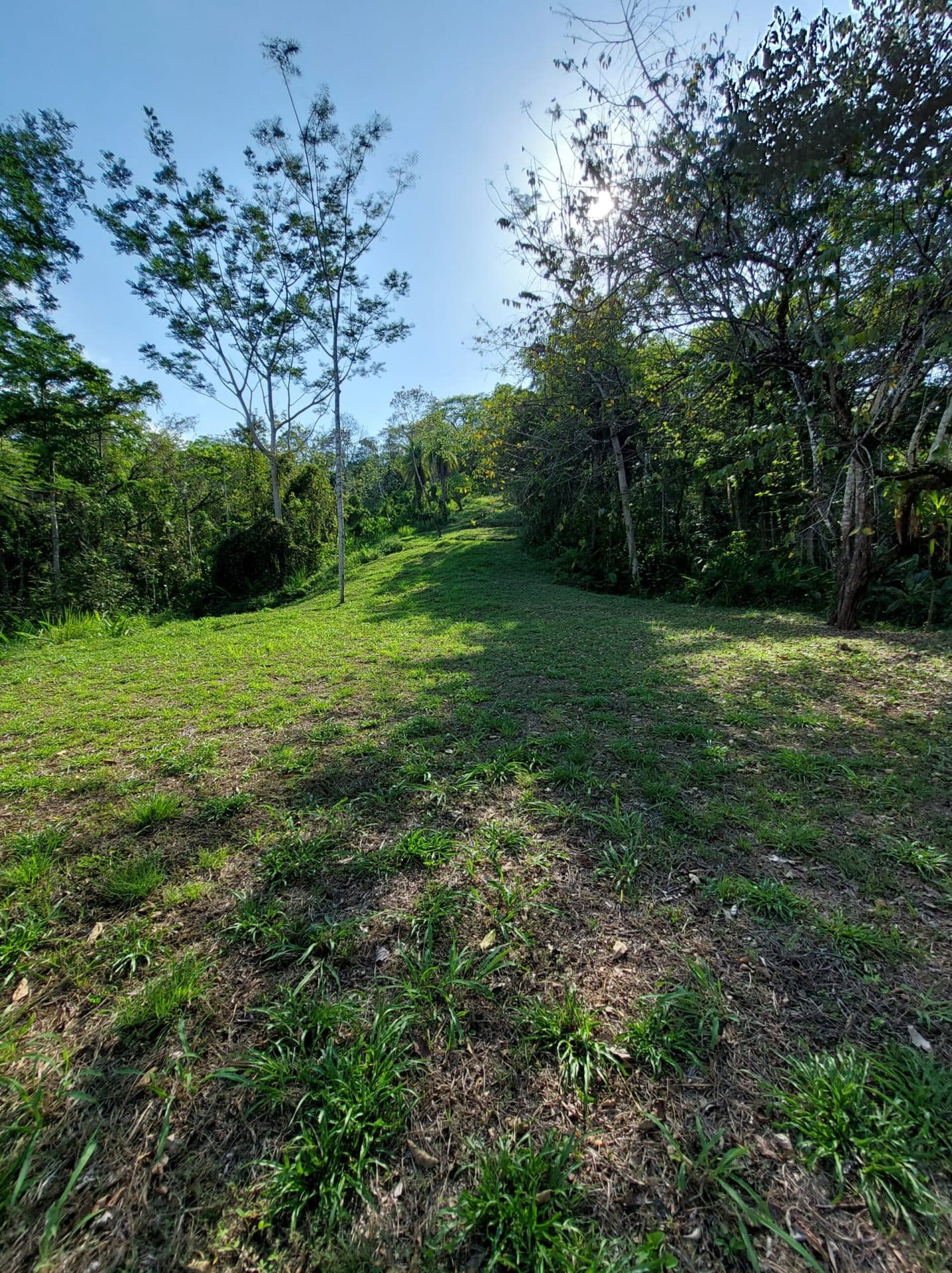 Large mountain and valley view lot, photo 11