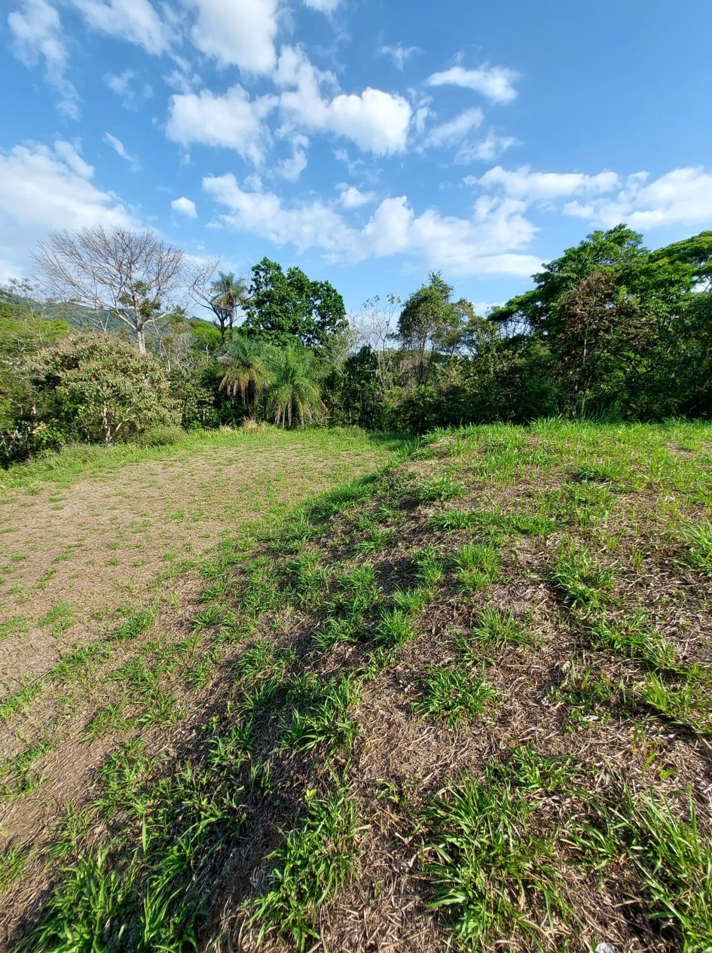 Large mountain and valley view lot, photo 9