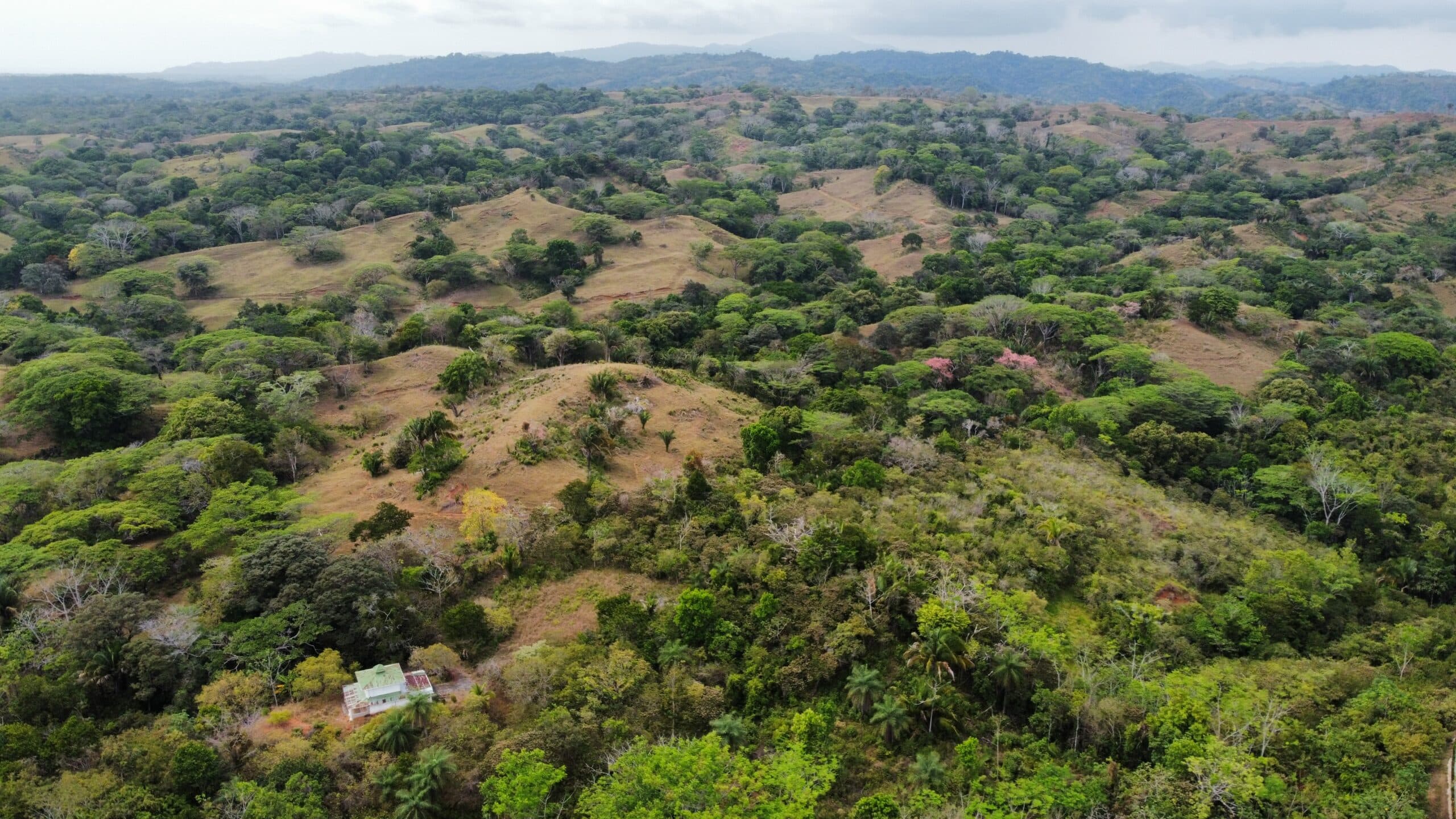 98 acre Ocean view finca in Esterillos, photo 8