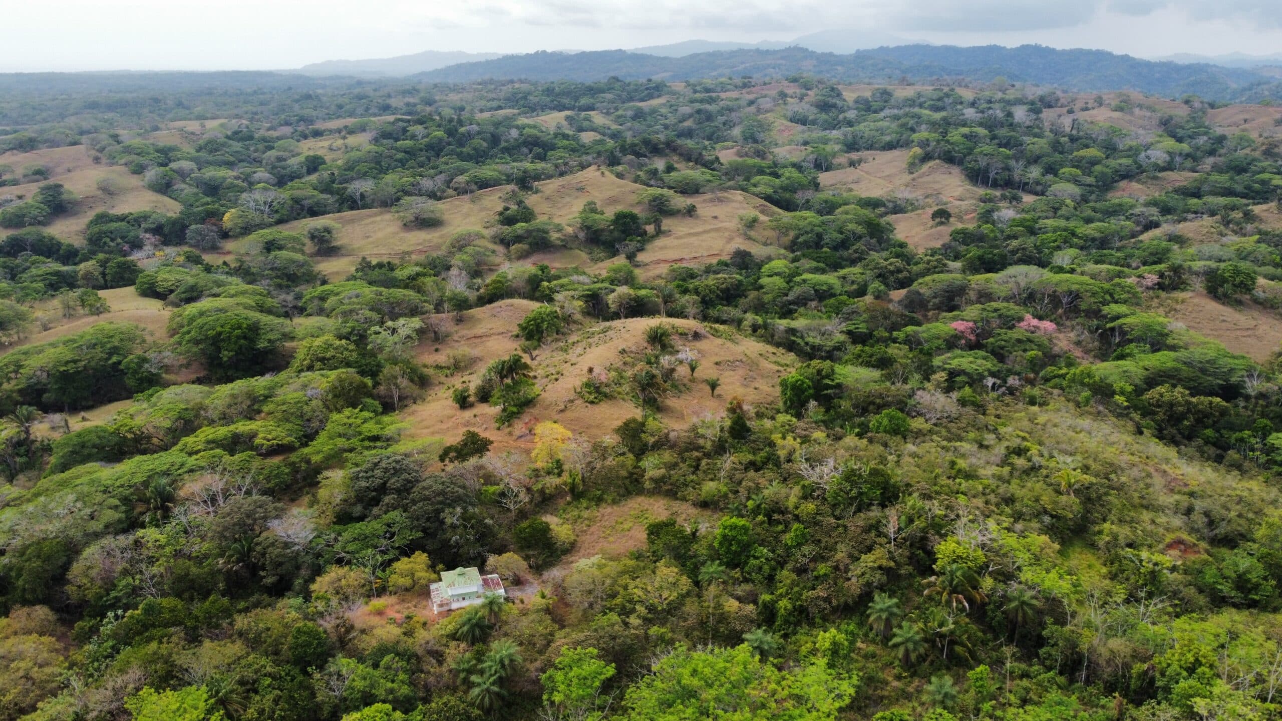 98 acre Ocean view finca in Esterillos, photo 7