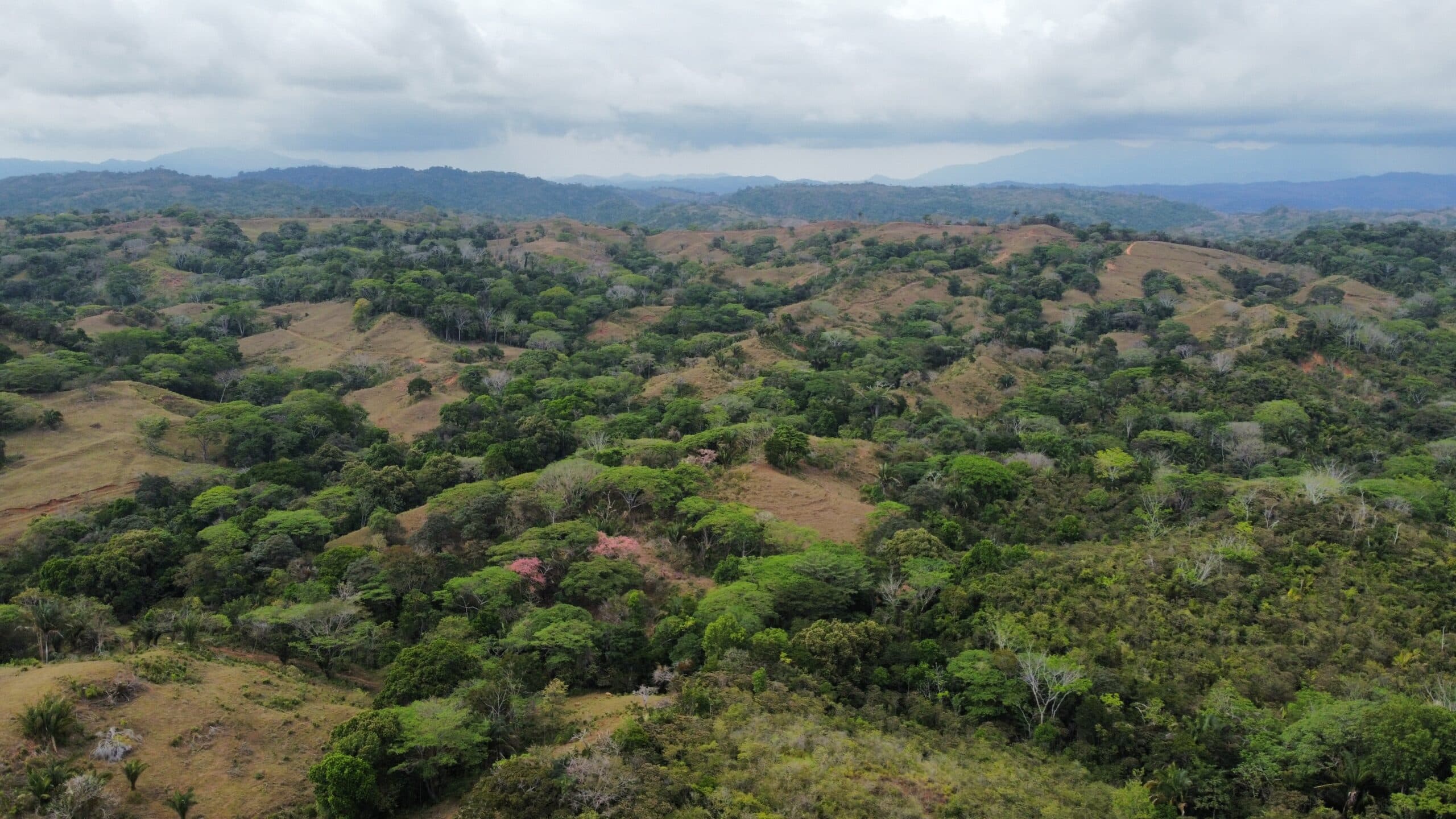 98 acre Ocean view finca in Esterillos, photo 6