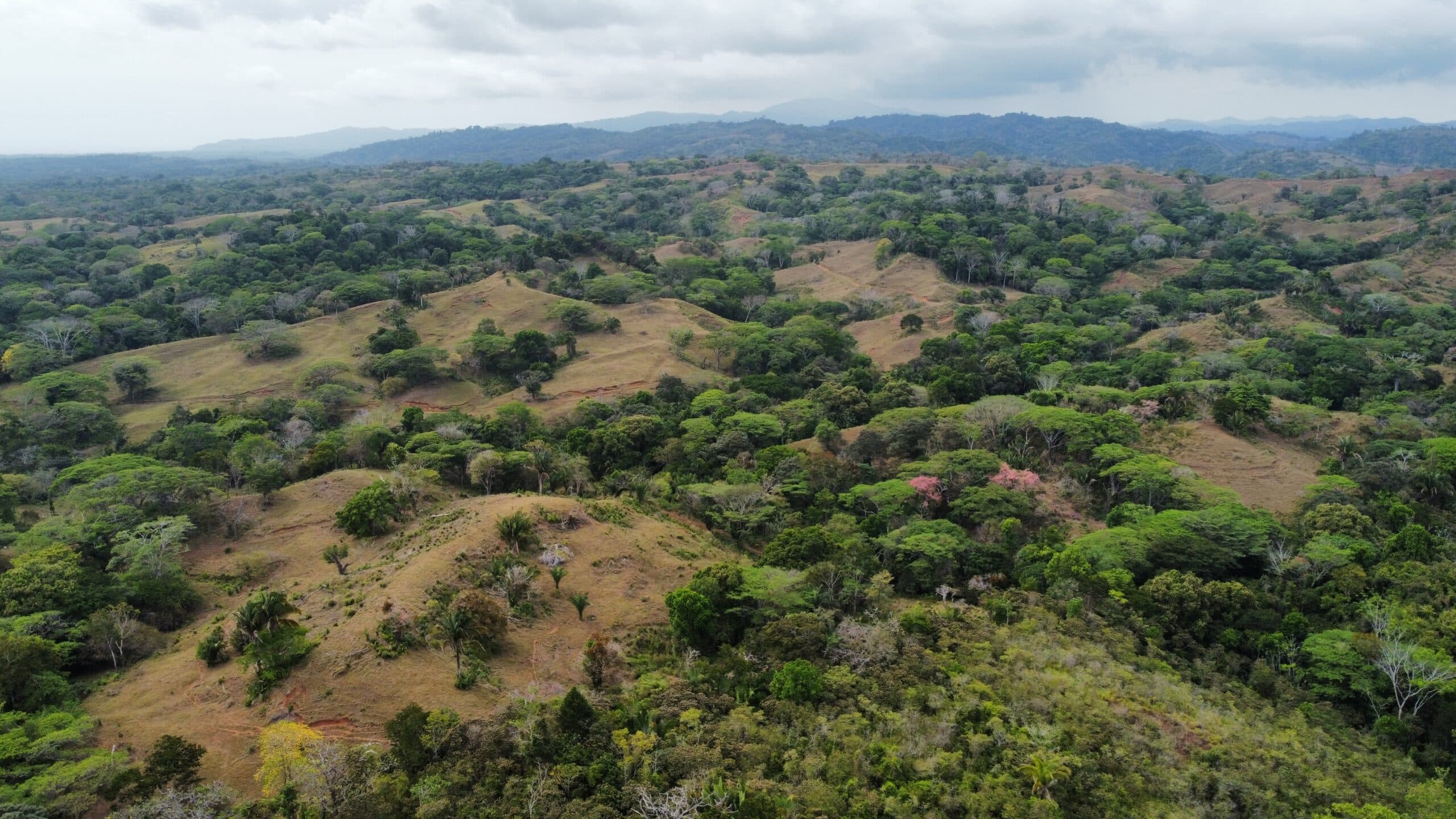 98 acre Ocean view finca in Esterillos, photo 4