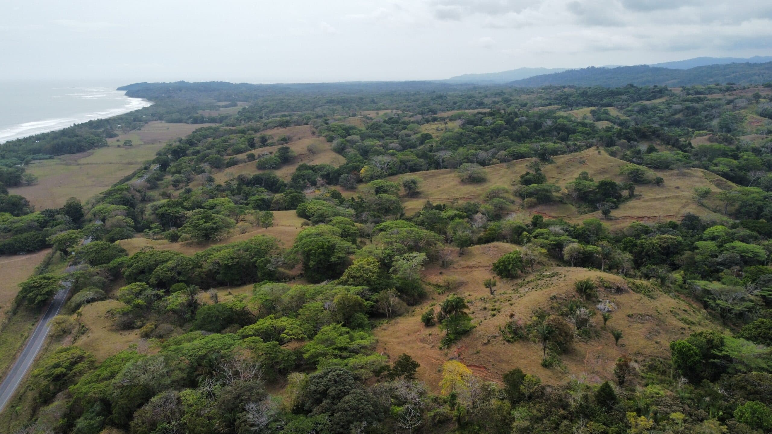 98 acre Ocean view finca in Esterillos, photo 3