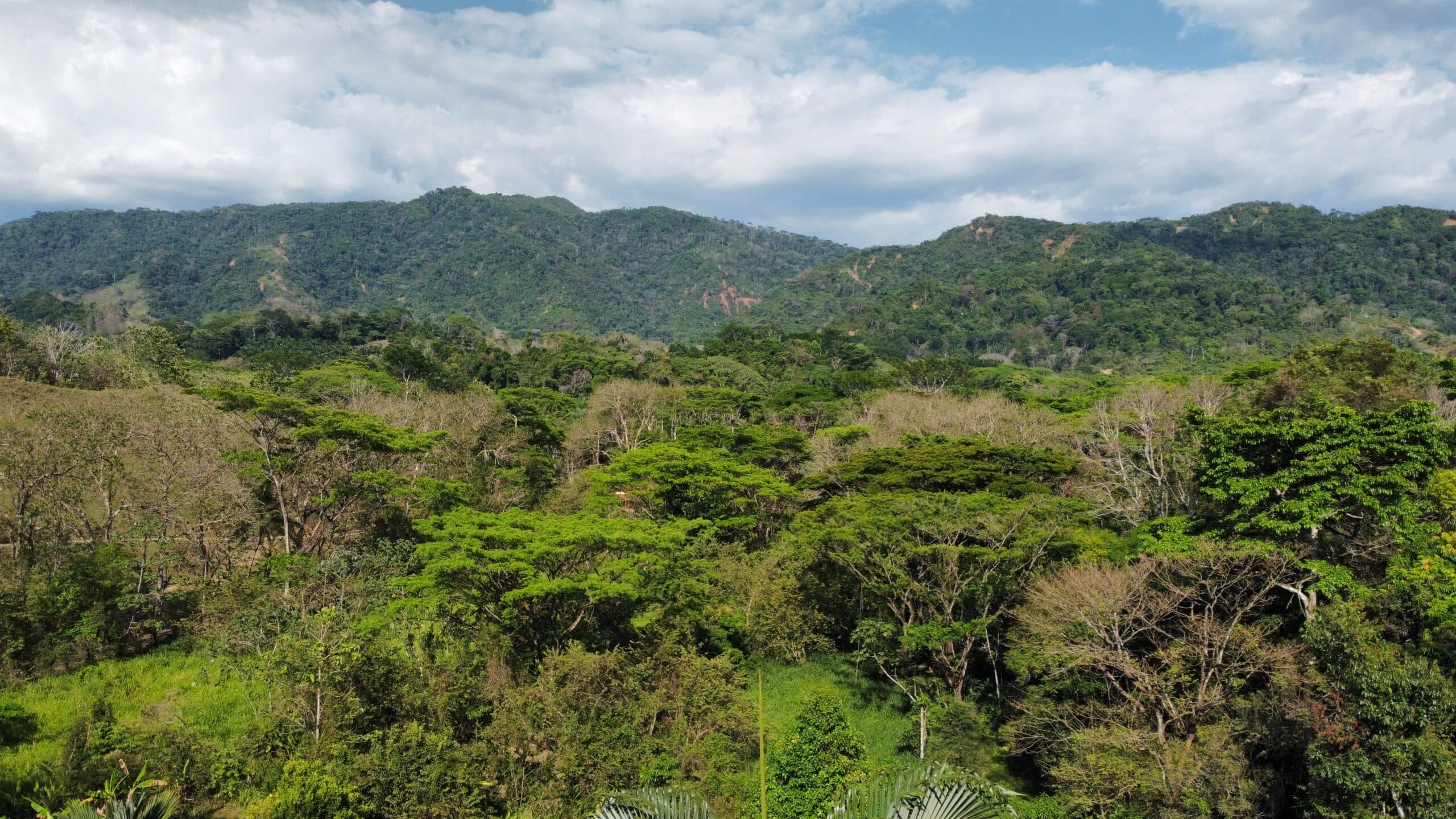 Secluded Mountain View Home, photo 24