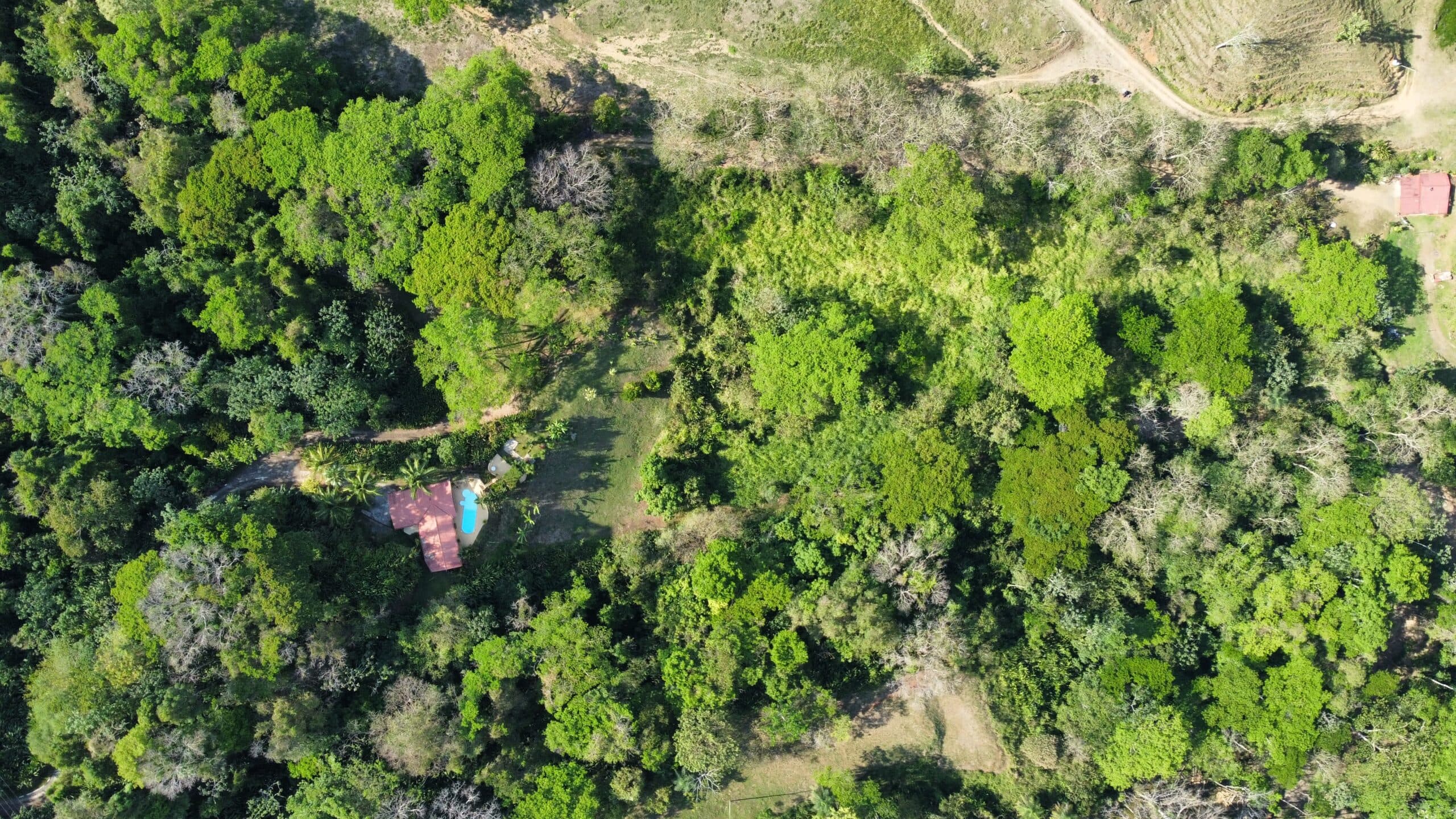 Secluded Mountain View Home, photo 27