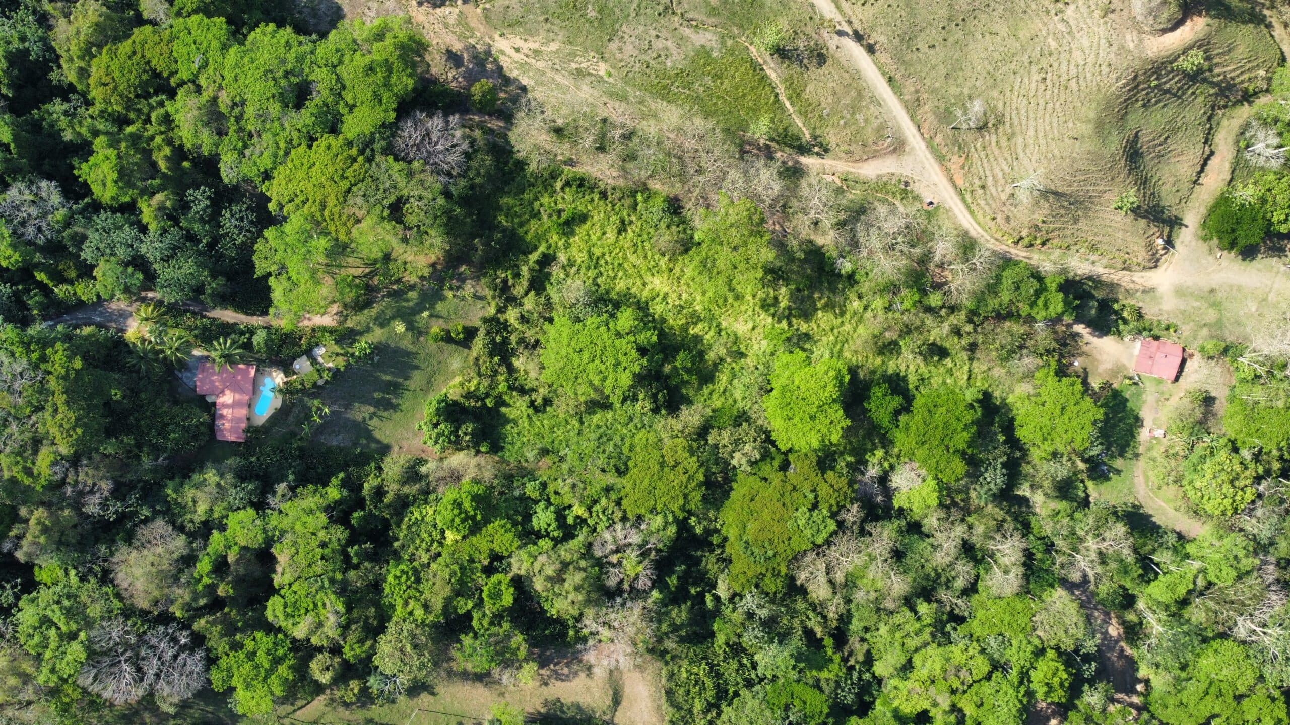 Large mountain and valley view lot, photo 19