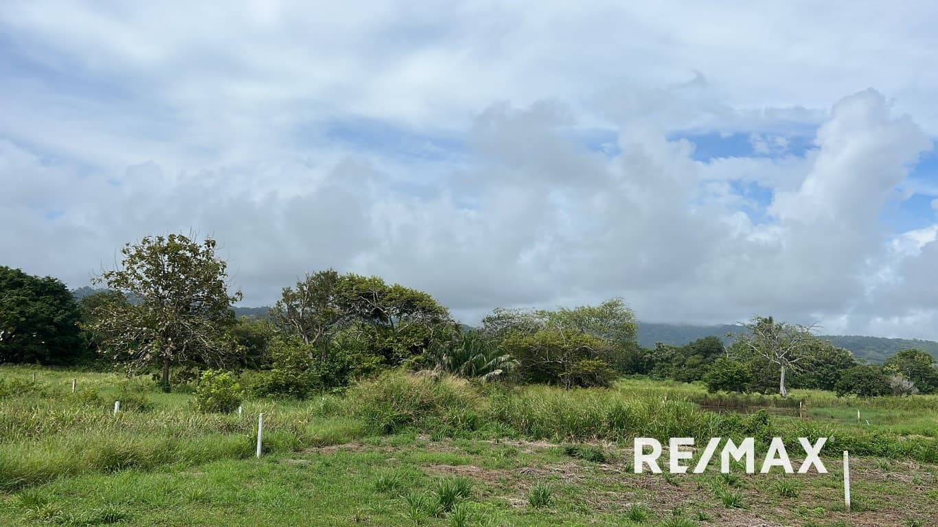 Hermosa Beachfront Lot Titled ! With water AND electricity available!, photo 9