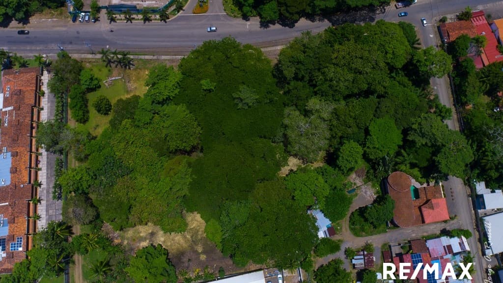 Oceanfront Dream Building Lot, photo 16