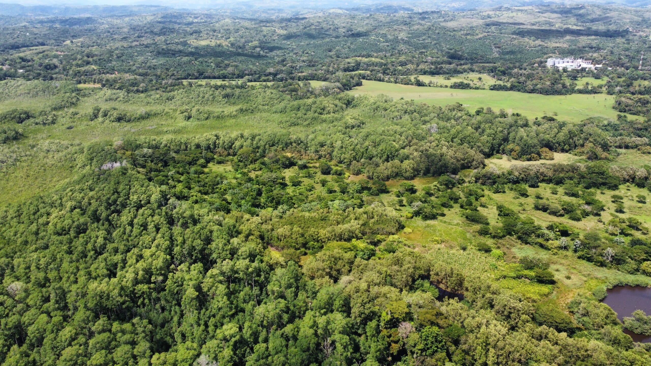 270 acres with 3 km of private beach, photo 9