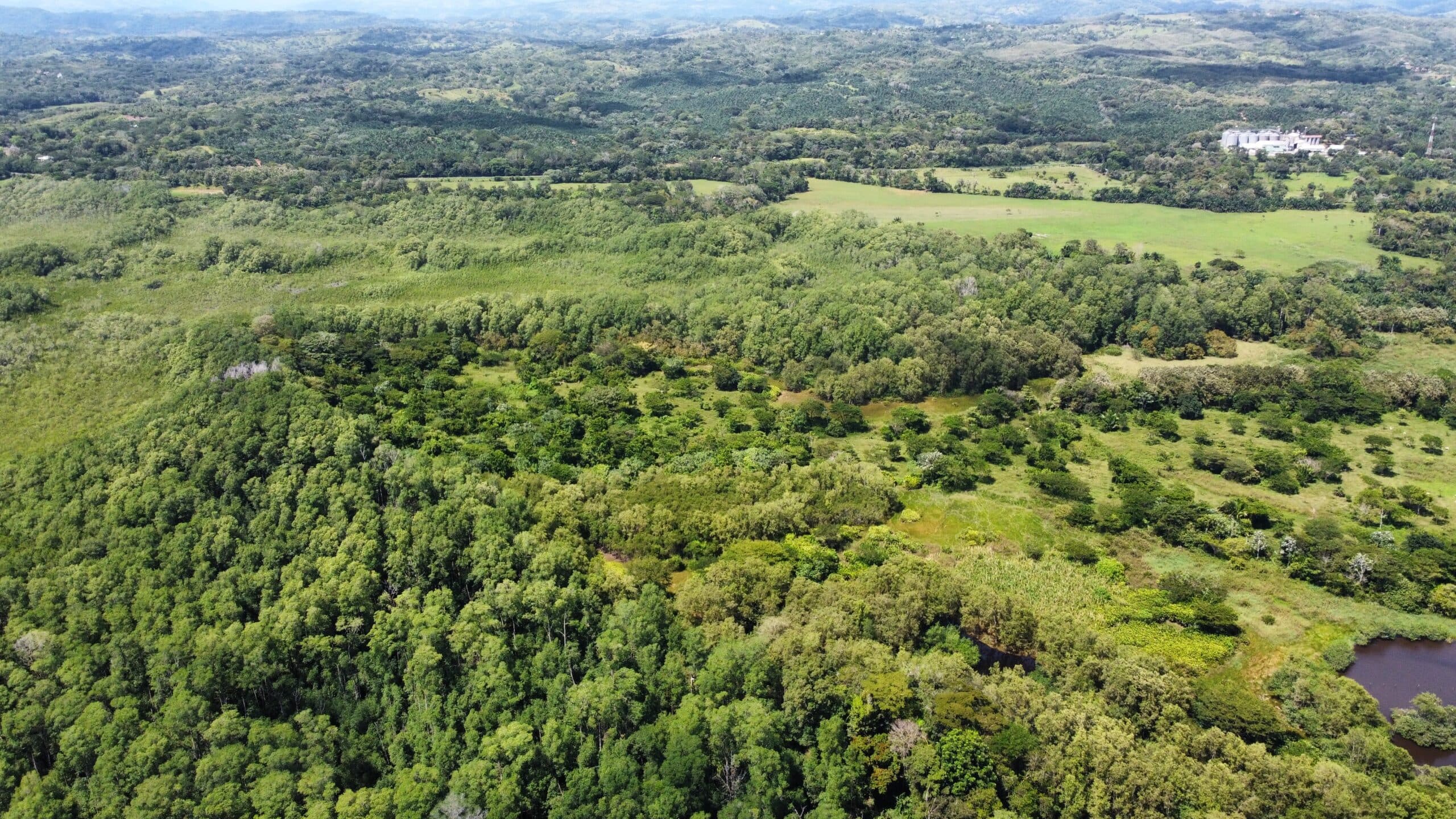 270 acres with 3 km of private beach, photo 8