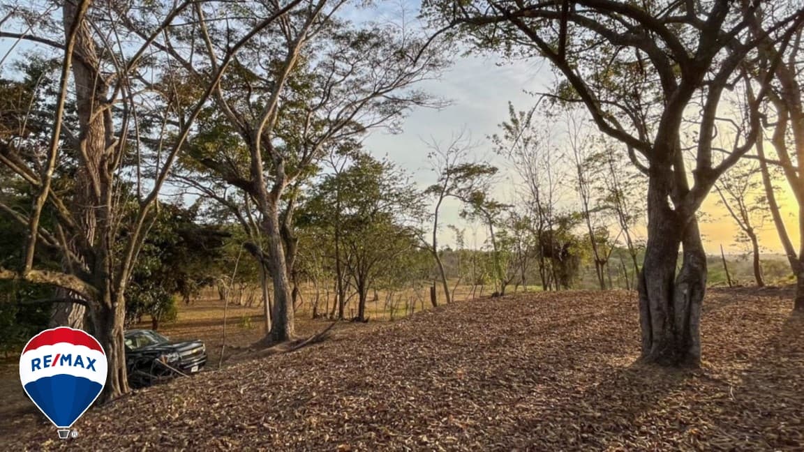 LOTS FOR SALE / NEAR CERRO LODGE HOTEL, photo 2