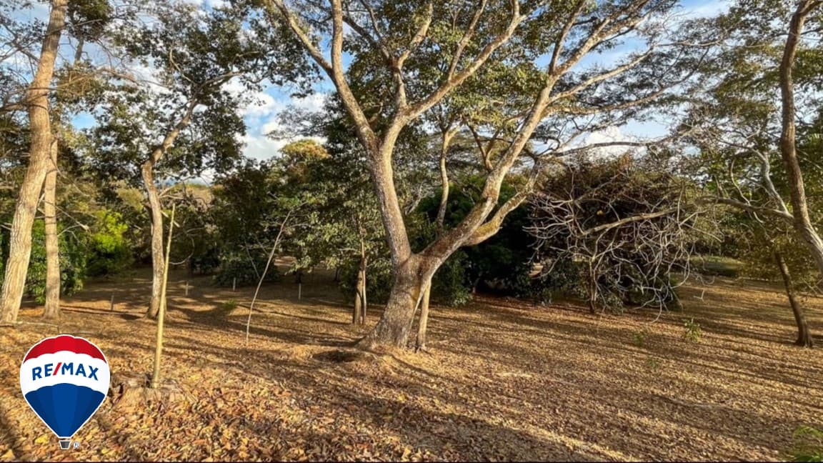 LOTS FOR SALE / NEAR CERRO LODGE HOTEL, photo 11