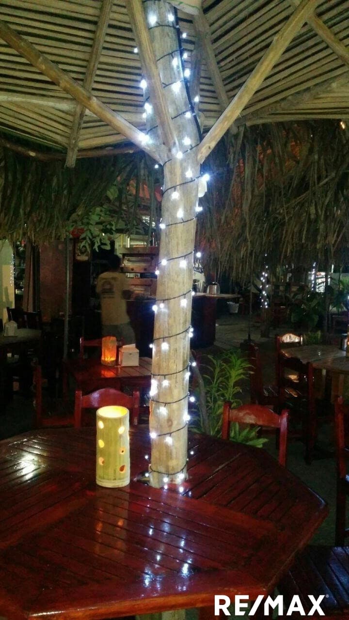 Iconic Italian Restaurant & Pizzeria in Jaco – Rioasis, photo 9