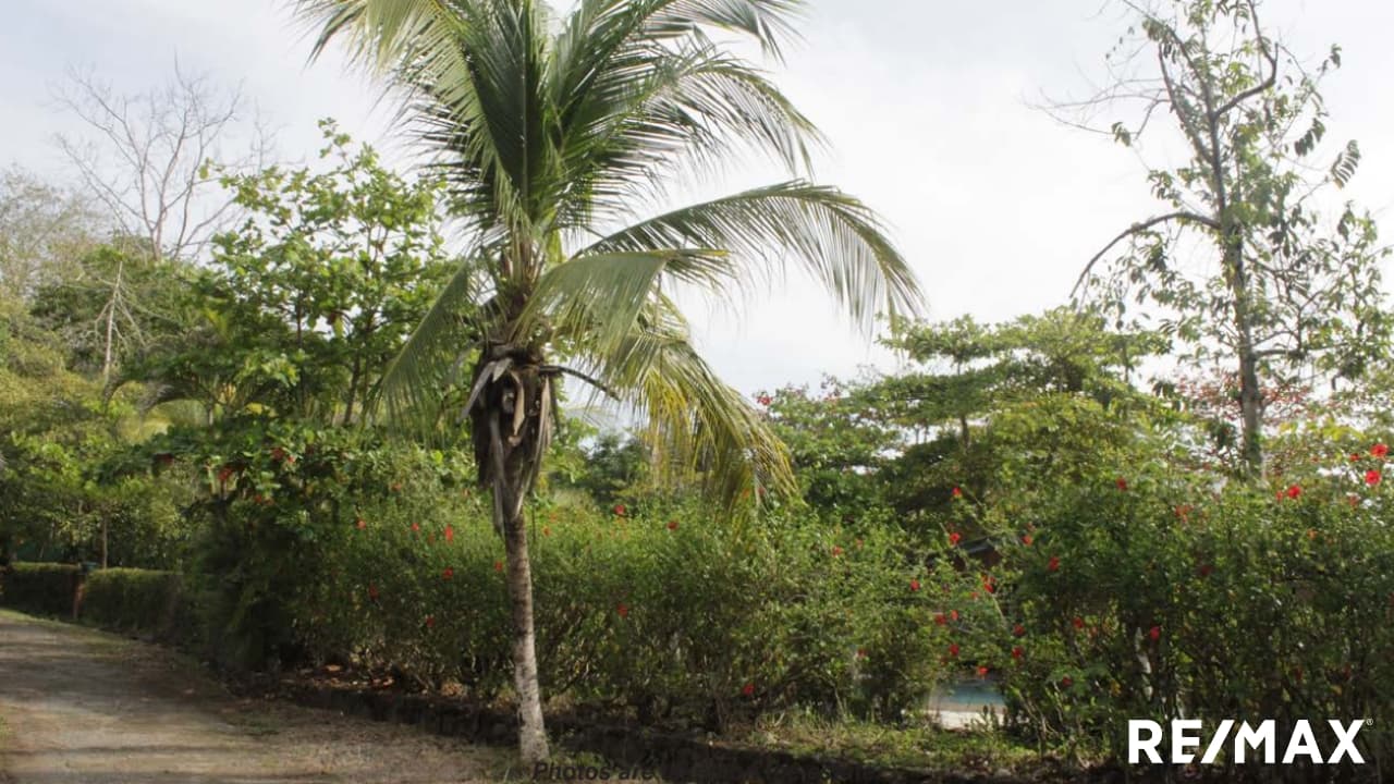 Unique Development Opportunity, photo 6