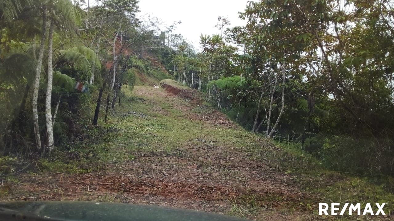 Oceanview Mountain Land, photo 10