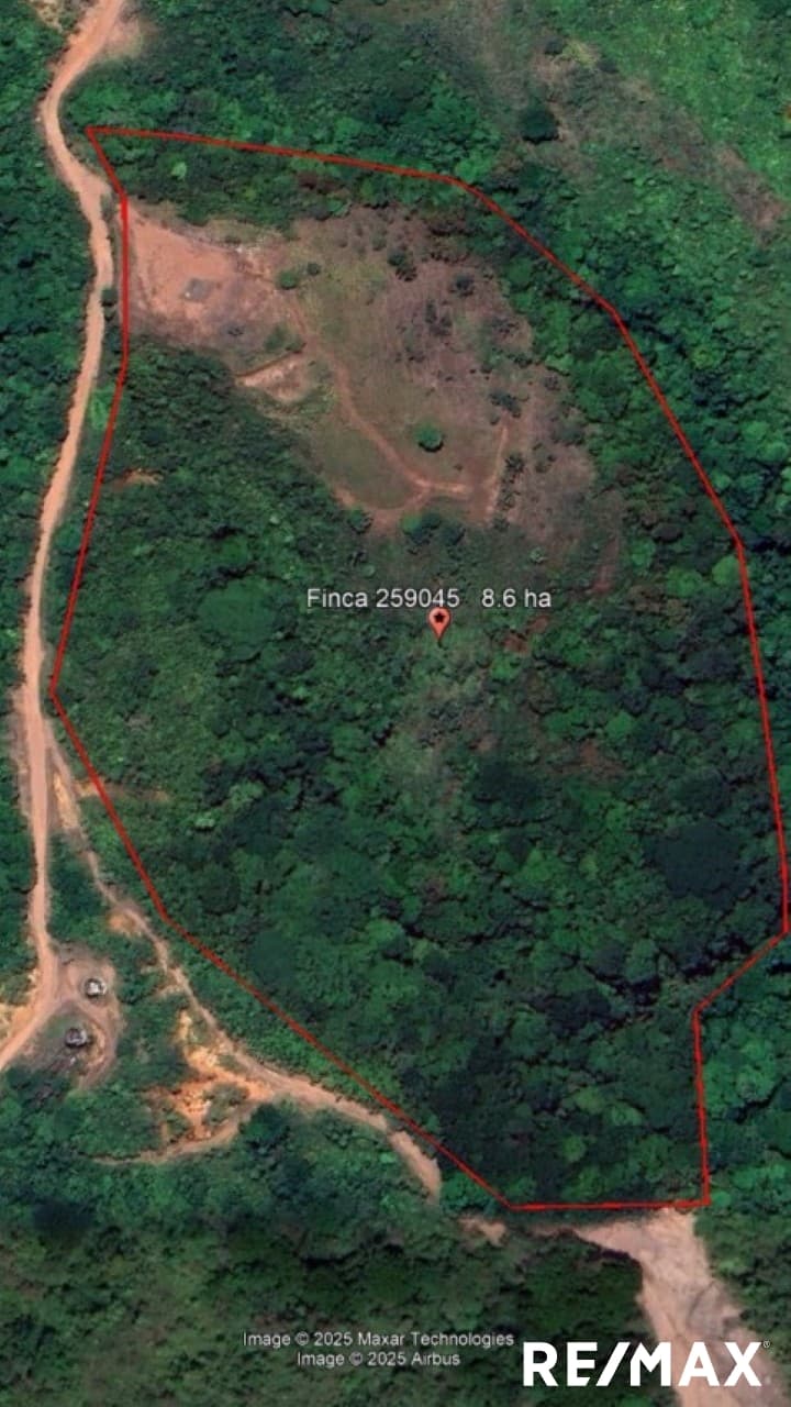 Amazing Oceanview Acreage, photo 14