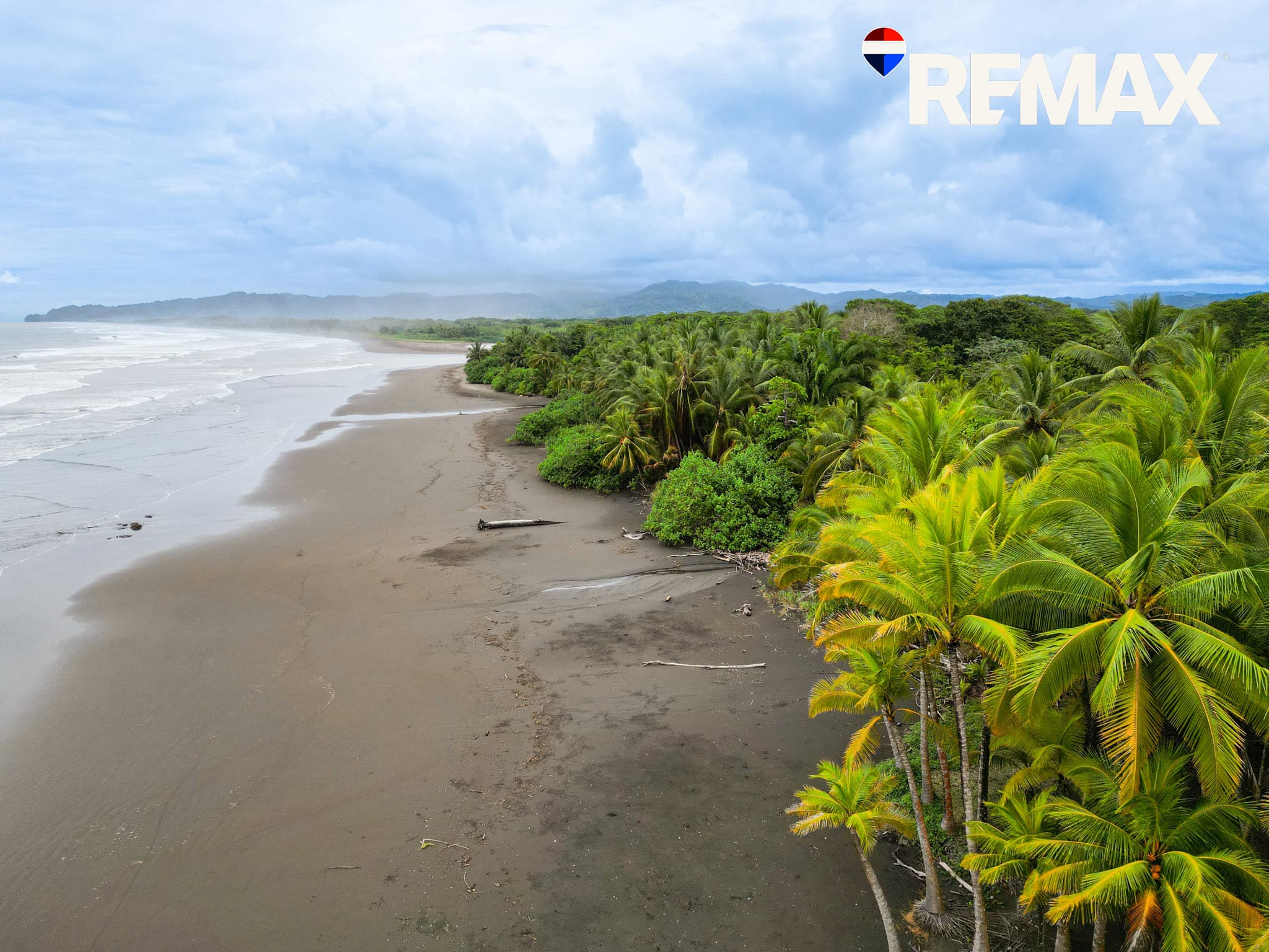 Esterillos Farmland Investment | 65 Hectares