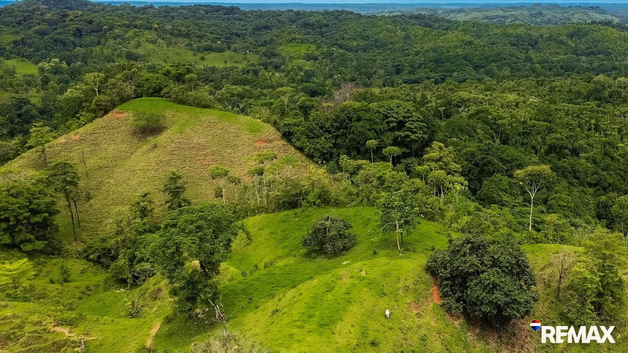 Ocean View Farmland | 80 Acres, Waterfalls, Jungle, photo 3