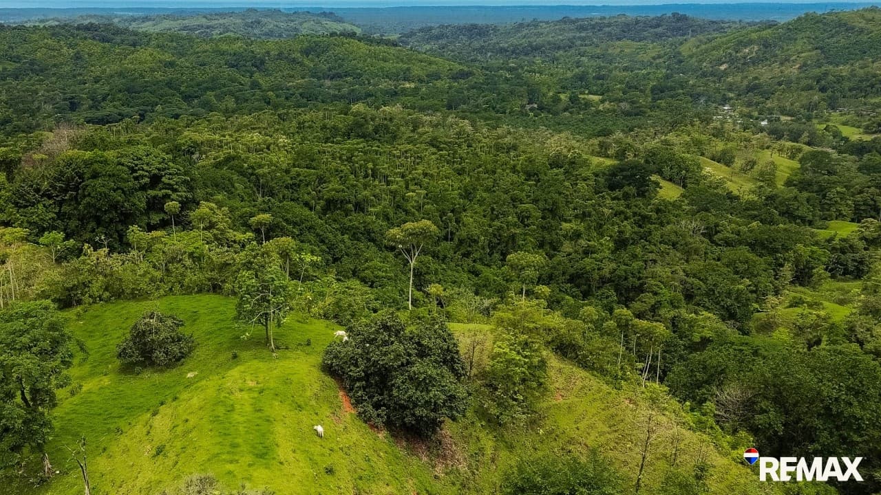 Ocean View Farmland | 80 Acres, Waterfalls, Jungle, photo 4