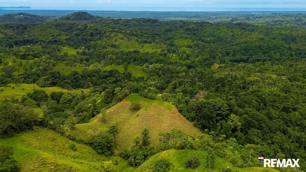 Ocean View Farmland | 80 Acres, Waterfalls, Jungle, photo 5