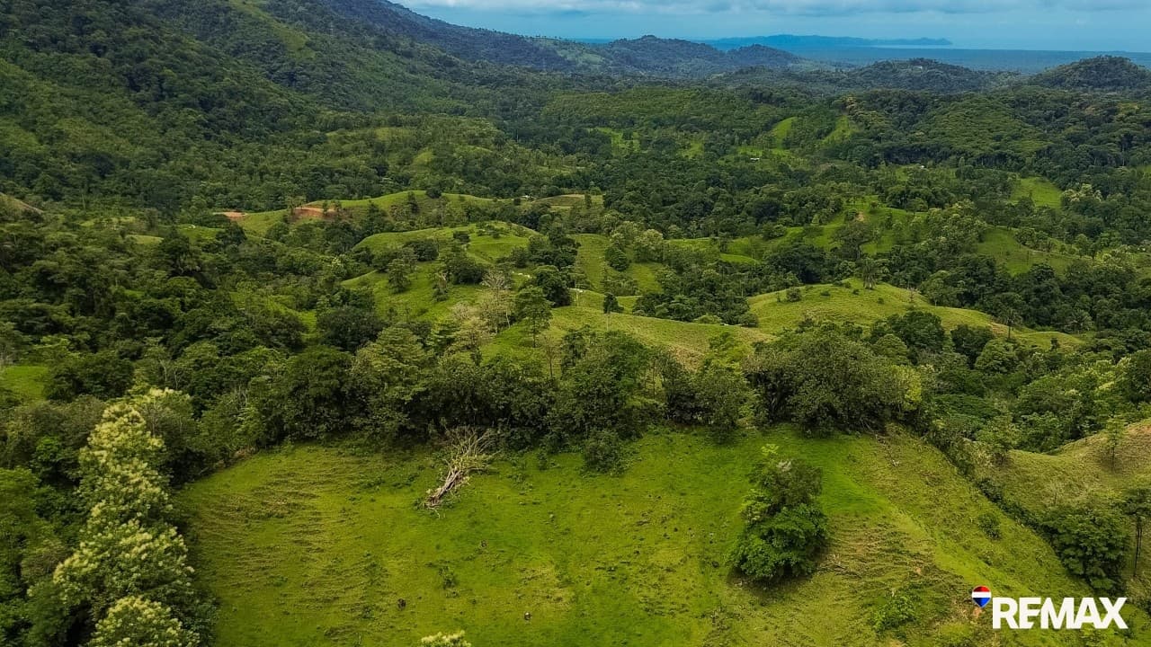 Ocean View Farmland | 80 Acres, Waterfalls, Jungle, photo 6