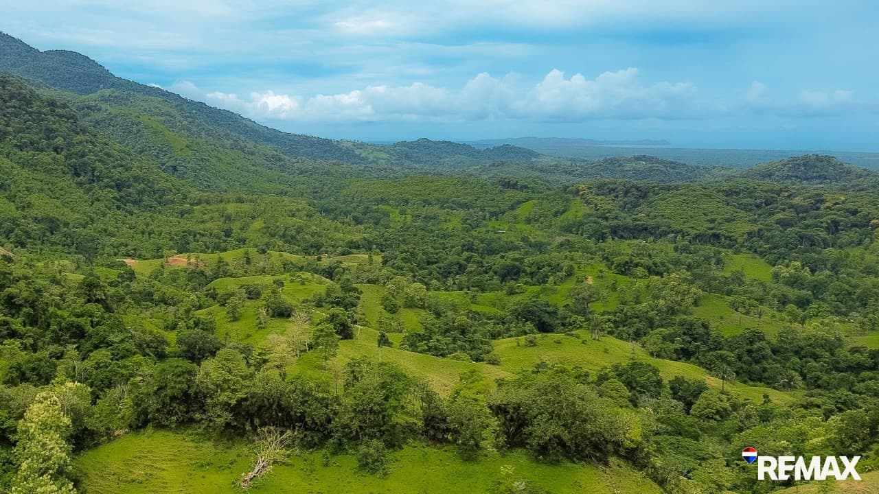Ocean View Farmland | 80 Acres, Waterfalls, Jungle, photo 7