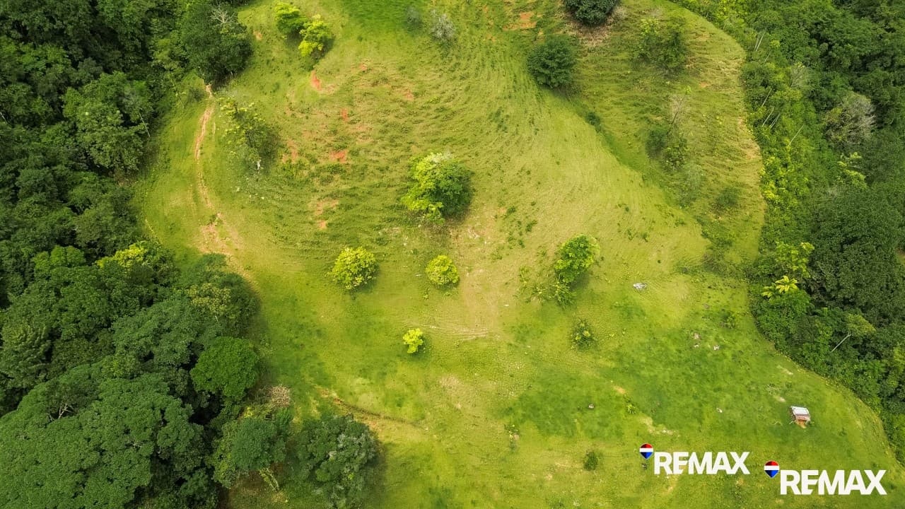 Ocean View Farmland | 80 Acres, Waterfalls, Jungle, photo 8