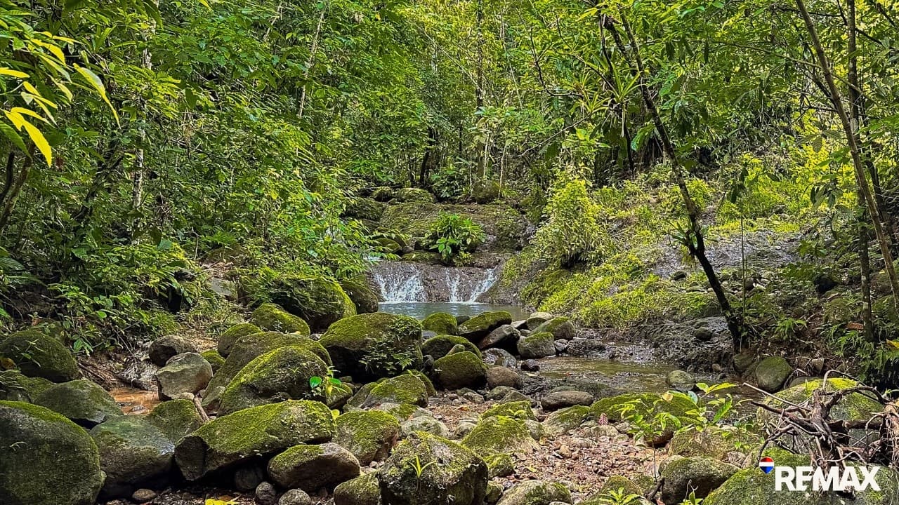 Ocean View Farmland | 80 Acres, Waterfalls, Jungle, photo 9