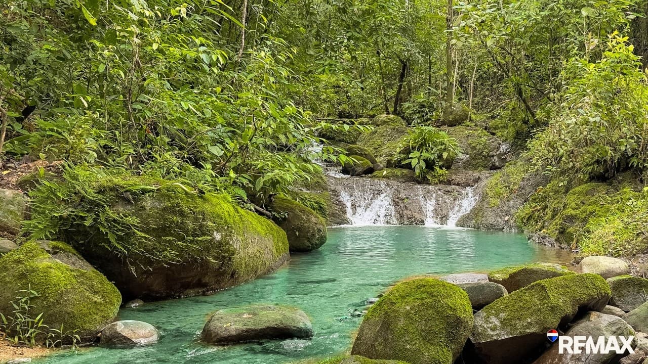 Ocean View Farmland | 80 Acres, Waterfalls, Jungle, photo 10