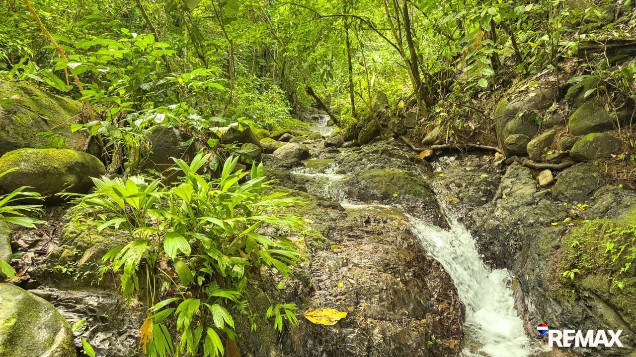 Ocean View Farmland | 80 Acres, Waterfalls, Jungle, photo 11